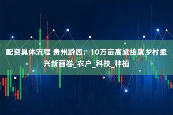 配资具体流程 贵州黔西：10万亩高粱绘就乡村振兴新画卷_农户_科技_种植